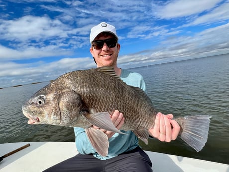 Black Drum fishing in New Orleans, LA, Louisiana