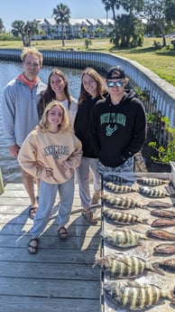 Mangrove Snapper, Sheepshead Fishing in St. Petersburg, Florida