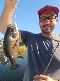 Fishing in Fort Lauderdale, Florida