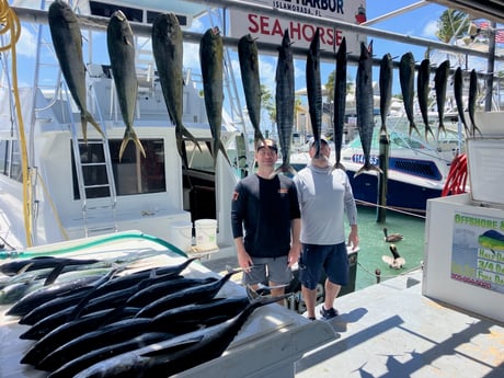 Fishing in Islamorada, Florida