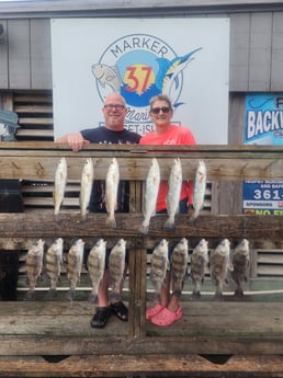 Black Drum, Speckled Trout Fishing in