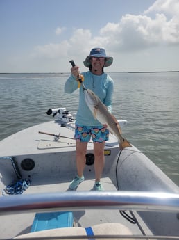 Redfish Fishing in St. Petersburg, Florida