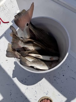 Fishing in Weslaco, Texas
