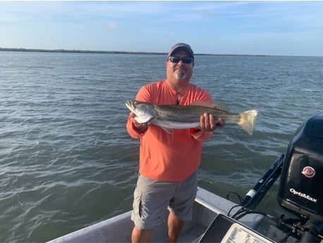 Speckled Trout / Spotted Seatrout fishing in Aransas Pass, Texas