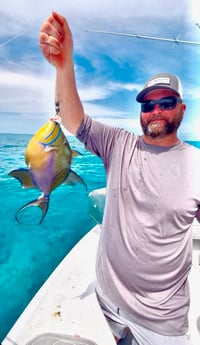 Fishing in Miami Beach, Florida