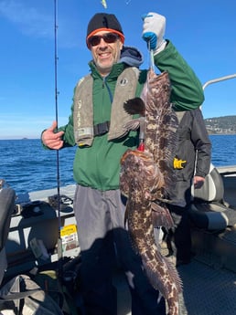 Lingcod Fishing in Hubbard, Oregon, USA