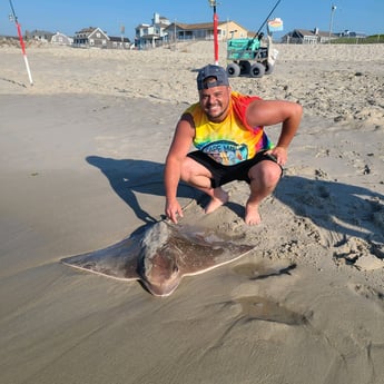 Stingray fishing in Stone Harbor, New Jersey