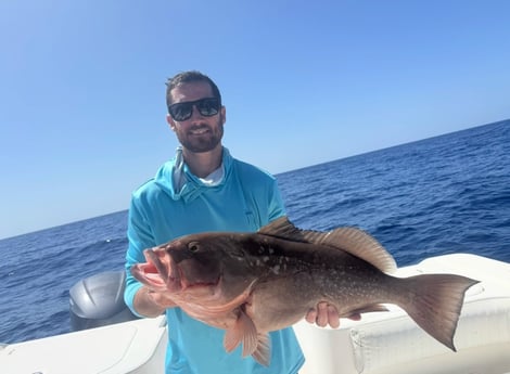 Fishing in Fort Myers, Florida