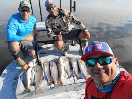Redfish Fishing in Rio Hondo, Texas