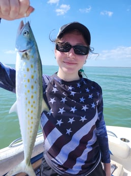 Spanish Mackerel Fishing in