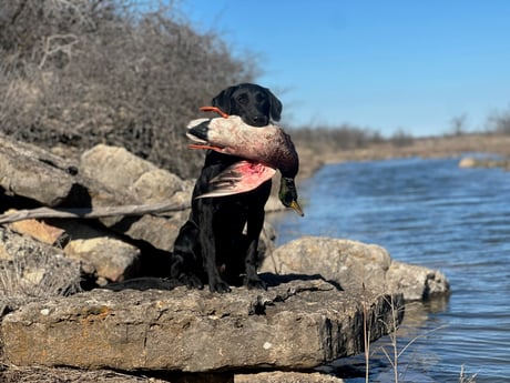 Fishing in Rising Star, Texas