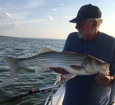 Striped Bass fishing in Pottsboro, Texas