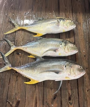 Fishing in Corpus Christi, Texas