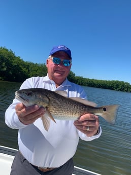 Redfish Fishing in Clearwater, Florida
