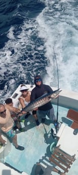 Wahoo Fishing in West Palm Beach, Florida