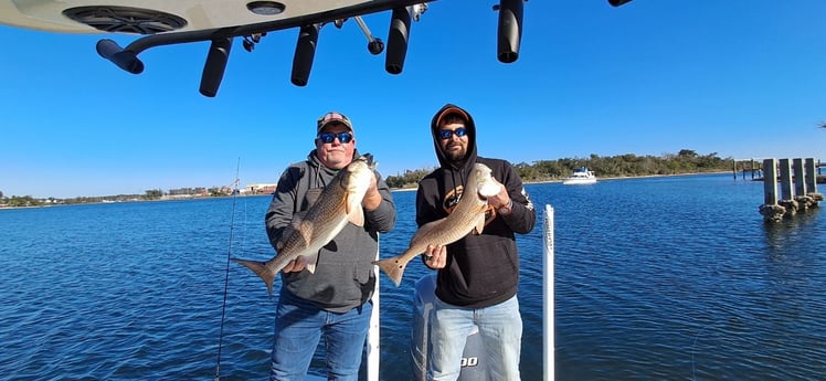 Fishing in Panama City Beach, Florida