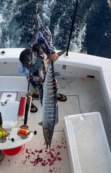 Wahoo Fishing in Pompano Beach, Florida