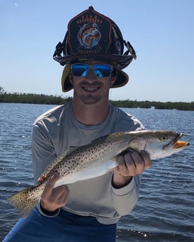 Speckled Trout / Spotted Seatrout fishing in Hudson, Florida