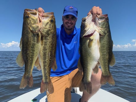 Largemouth Bass Fishing in Wellington, Florida