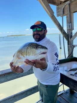 Redfish fishing in Ingleside, Texas