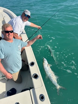 Tarpon Fishing in Key West, Florida