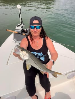 Snook Fishing in Port Orange, Florida