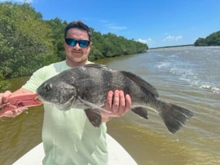 Black Drum Fishing in Miami, Florida