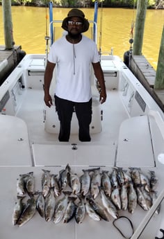Speckled Trout / Spotted Seatrout fishing in Saint Bernard, Louisiana