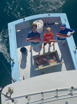 Fishing in Orange Beach, Alabama