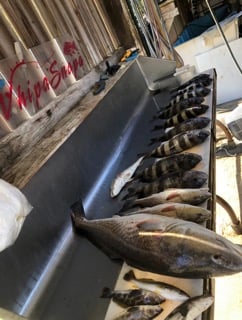 Fishing in D&#039;Iberville, Mississippi