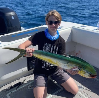 Mahi Mahi Fishing in Mount Pleasant, South Carolina