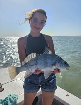 Black Drum Fishing in South Padre Island, Texas