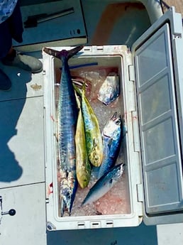 Fishing in Pompano Beach, Florida