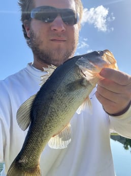 Fishing in Pembroke Pines, Florida