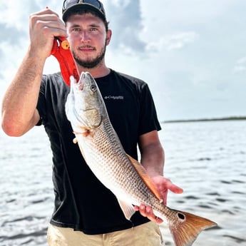 Redfish Fishing in Cape Coral, Florida
