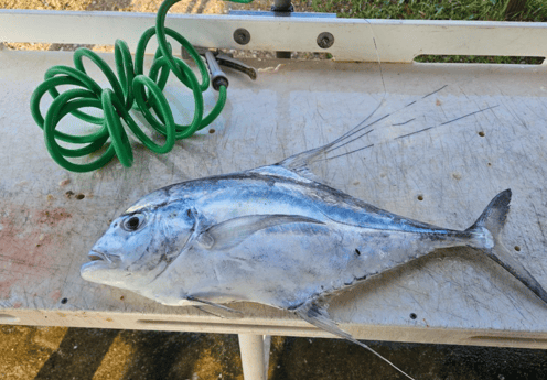 Fishing in Jacksonville, Florida