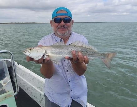 Speckled Trout / Spotted Seatrout Fishing in Port Isabel, Texas