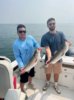 Fishing in Sandwich, Massachusetts