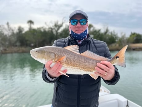 Redfish Fishing in Mt Pleasant, South Carolina