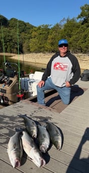 Fishing in Rogers, Arkansas