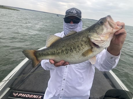 Largemouth Bass fishing in Zapata, Texas