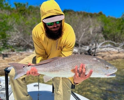 Redfish Fishing in New Smyrna Beach, Florida