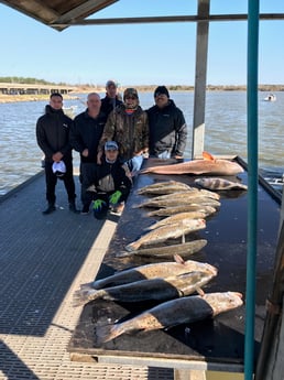 Black Drum, Redfish, Speckled Trout / Spotted Seatrout Fishing in League City, Texas