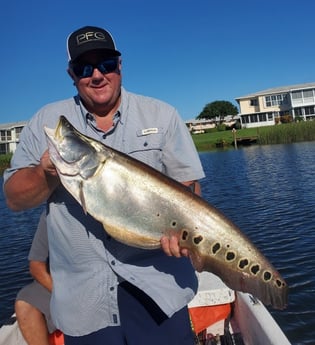 Clown Knifefish fishing in Delray Beach, Florida