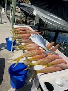 Fishing in St. Petersburg, Florida
