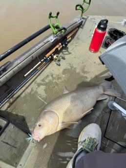 Fishing in Saint Charles, Missouri