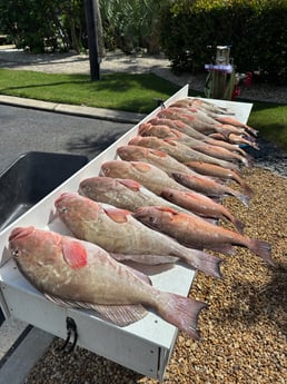 Fishing in Sarasota, Florida