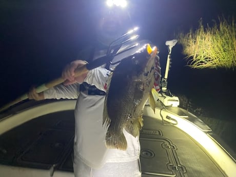 Fishing in Pembroke Pines, Florida