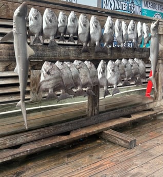 Fishing in Corpus Christi, Texas