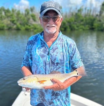 Redfish Fishing in Cape Coral, Florida